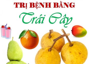 Những bài thuốc chữa bệnh bằng trái cây pdf
