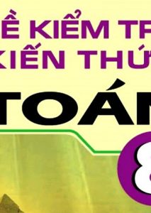 Đề kiểm tra kiến thức toán 8 pdf