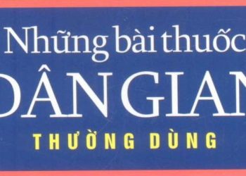 Những bài thuốc dân gian thường dùng pdf