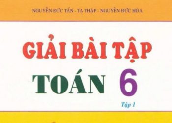 Hướng Dẫn Giải Bài Tập Toán 6 pdf