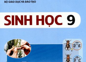 Sách giáo khoa sinh học 9 pdf