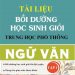 Tài liệu luyện thi học sinh giỏi Ngữ văn thpt tập 1,2 pdf