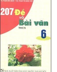 207 Đề Và Bài Văn THCS 6 pdf