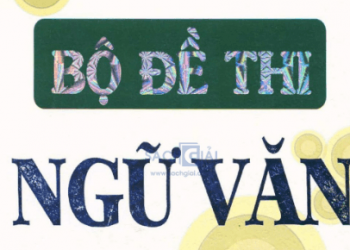 bộ đề thi ngữ văn vào lớp 10 pdf