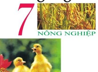 Sách Giáo Khoa Công nghệ 7 Nông nghiệp pdf