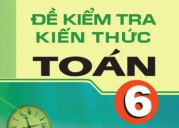 Đề kiểm tra kiến thức toán 6 pdf