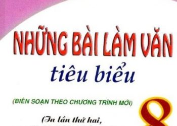 Những Bài Làm Văn Tiêu Biểu 8 pdf