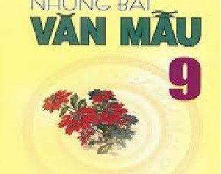 Những Bài Văn Mẫu 9 pdf