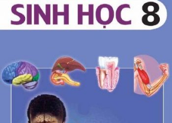 Sách Giáo Khoa Sinh Học Lớp 8 pdf