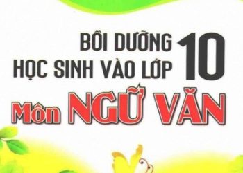 Bồi Dưỡng Học Sinh Vào Lớp 10 Môn Ngữ Văn pdf
