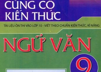 ôn tập củng cố kiến thức ngữ văn 9 pdf