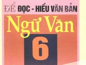 Để Đọc Hiểu Văn Bản Ngữ Văn 6 pdf