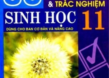 30 Bộ Đề Kiểm Tra Tự Luận và Trắc Nghiệm Sinh Học 11 pdf