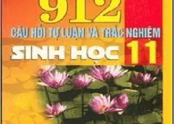 912 Câu Hỏi Tự Luận Và Trắc Nghiệm Sinh Học 11 pdf