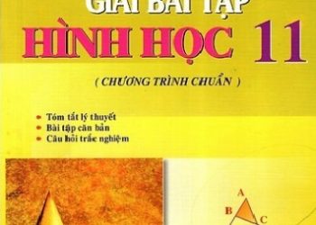 Hướng Dẫn Giải Bài Tập Hình Học 11 Chương Trình Chuẩn pdf
