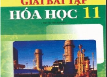 Hướng Dẫn Giải Bài Tập Hóa Học 11 pdf
