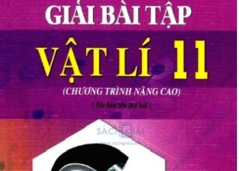 Hướng Dẫn Giải Bài Tập Vật Lý 11 Nâng Cao PDF