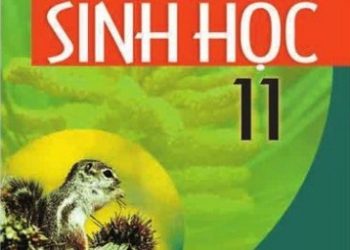 Sách Giáo Khoa Sinh Học Lớp 11 pdf