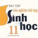 Bài Tập Trắc Nghiệm Tích Hợp Sinh Học 11 pdf