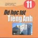 Để Học Tốt Tiếng Anh 11 pdf