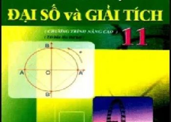 Giải Bài Tập Đại Số Và Giải Tích Lớp 11 Nâng Cao pdf