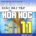 Giải Bài Tập Hoá Học 11 Nâng Cao pdf