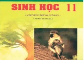Hướng Dẫn Giải Bài Tập Sinh Học 11 pdf