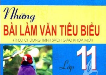 Những Bài Làm Văn Tiêu Biểu 11 pdf
