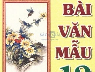 Những Bài Văn Mẫu 12 pdf