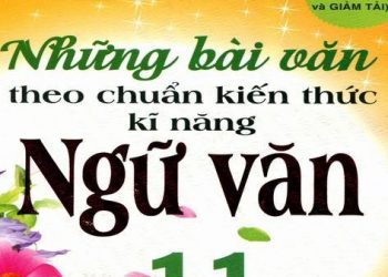 Những Bài Văn Theo Chuẩn Kiến Thức Kĩ Năng Ngữ Văn 11 pdf