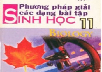 Phương Pháp Giải Các Dạng Bài Tập Sinh Học 11 pdf