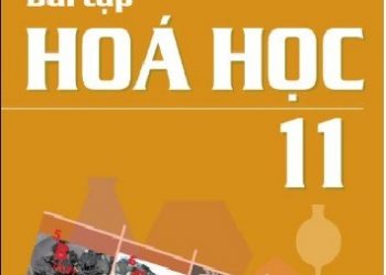 Sách Bài Tập Hóa Học Lớp 11 pdf