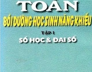 Toán Bồi Dưỡng Học Sinh Năng Khiếu pdf