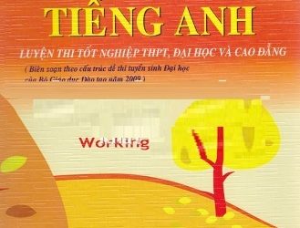 2430 Câu Hỏi Trắc Nghiệm Tiếng Anh pdf