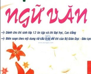 Bộ Đề Thi Ngữ Văn pdf