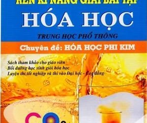 Rèn Kỹ Năng Giải Bài Tập Hóa Học: Hóa Học Phi Kim pdf