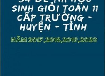 34 Đề Thi Học Sinh Giỏi Toán 11 Cấp Trường Huyện Tỉnh Năm 2017-2018-2019-2020 pdf