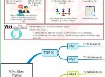 Bộ Đề Thi Topik Các Năm Mới Nhất pdf