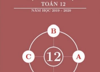Bộ Trắc Nghiệm Toán 12 Năm 2019-2020 (Kèm Giải Chi Tiết) pdf
