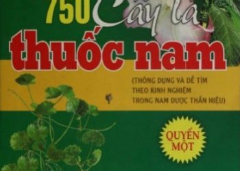 750 Cây Lá Thuốc Nam pdf