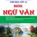 Tổng hợp 35 đề phân tích các tác phẩm Văn học lớp 12 pdf
