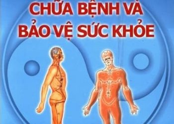 Bấm Huyệt Chữa Bệnh Và Bảo Vệ Sức Khỏe pdf