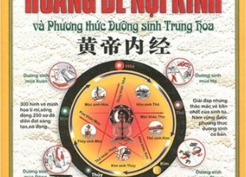 Đồ Hình Giải Thích Hoàng Đế Nội Kinh Và Phương Thức Dưỡng Sinh Trung Hoa pdf