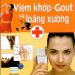 Những Điều Cần Biết Về Bệnh Viêm Khớp – Gout Và Loãng Xương pdf