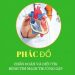 Phác Đồ Bệnh Tim Mạch Thường Gặp pdf