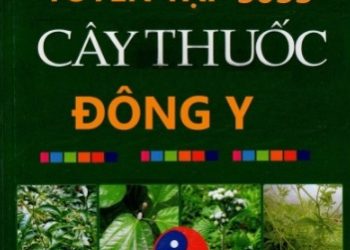 Tuyển Tập 3033 Cây Thuốc Đông Y pdf