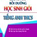 Chuyên đề bồi dưỡng học sinh giỏi tiếng anh thcs pdf