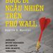 Bước đi ngẫu nhiên trên phố Wall pdf