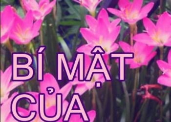 bi-mat-cua-toc-tien-nguyen-nhat-anh pdf