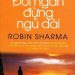 Đời Ngắn Đừng Ngủ Dài pdf